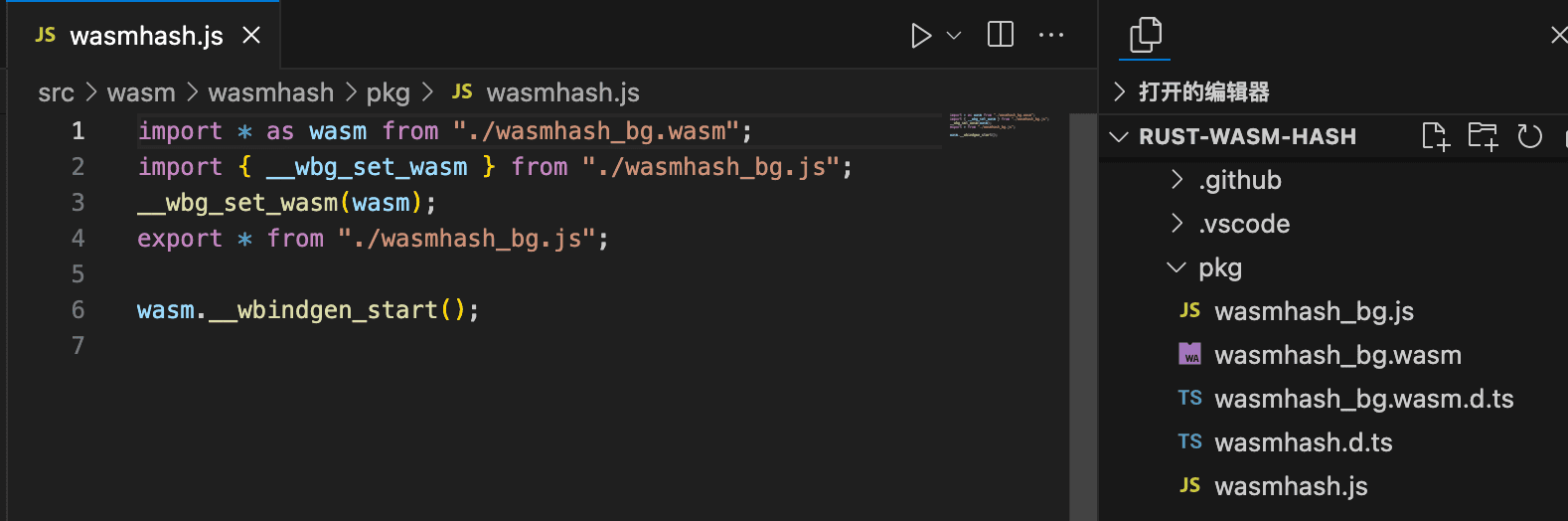 wasm-pack 生成的 js 胶水代码
